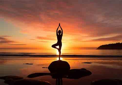 Gym fitness centers trainers India directory